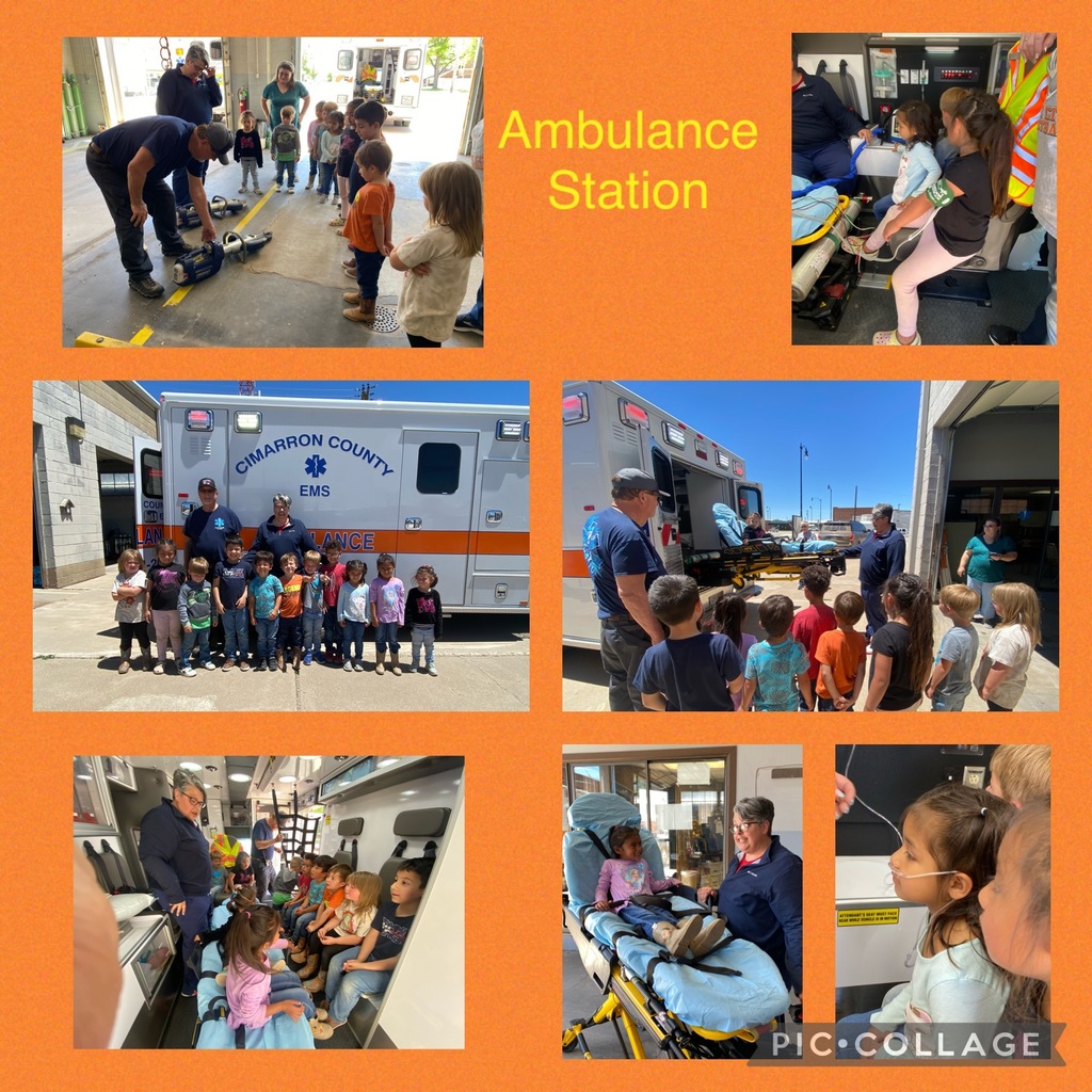 Ambulance Station Visit